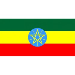 Ethiopia Natural Yirgacheffe G3 (GB)(衣索比亞耶加)